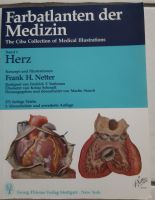 Farbatlanten der Medizin, Band 1: Herz Nordrhein-Westfalen - Hüllhorst Vorschau