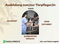 Ausbildung zum/zur Tierpfleger/in (m/w/d) Berlin - Schöneberg Vorschau