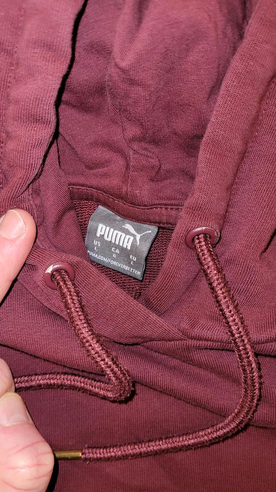 Puma Kapuzenpullover Gr. L in Nienburg (Weser)