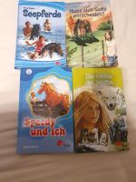 4x Pony Club Bücher** Kinderbücher Nordrhein-Westfalen - Telgte Vorschau