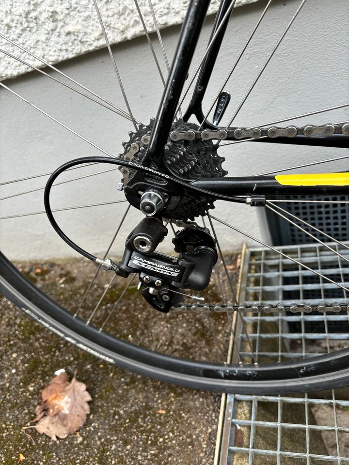 Rennrad Panasonic DX3000 RH 54 cm mit Campagnolo 2X10 Fach in Regensburg