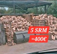 ❗️AKTION  Laubholz-Mix❗️Eiche Esche etc. Kaminholz Brennholz Niedersachsen - Vechelde Vorschau