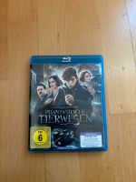 Blu-Ray Phantastische Tierwesen und wo sie zu finden sind DVD Aubing-Lochhausen-Langwied - Aubing Vorschau