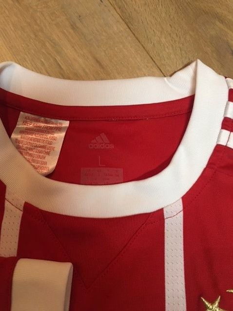 FC Bayern Trikot Gr. 164 Langarm,Kurzarm u.Hose sehr gut erhalten in Malleichen