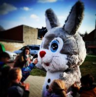 Hoppelhäschen BUNNY kommt auf ihre Veranstaltung Ostern Brandenburg - Neu-Zittau Vorschau