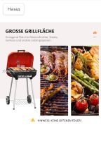 BBQ  grill Thüringen - Altenburg Vorschau