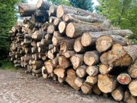 Stammware Stammholz Brennholz Kaminholz Bayern - Moorenweis Vorschau