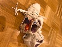 Sneaker // Geox // Eiskönigin Sachsen - Pirna Vorschau