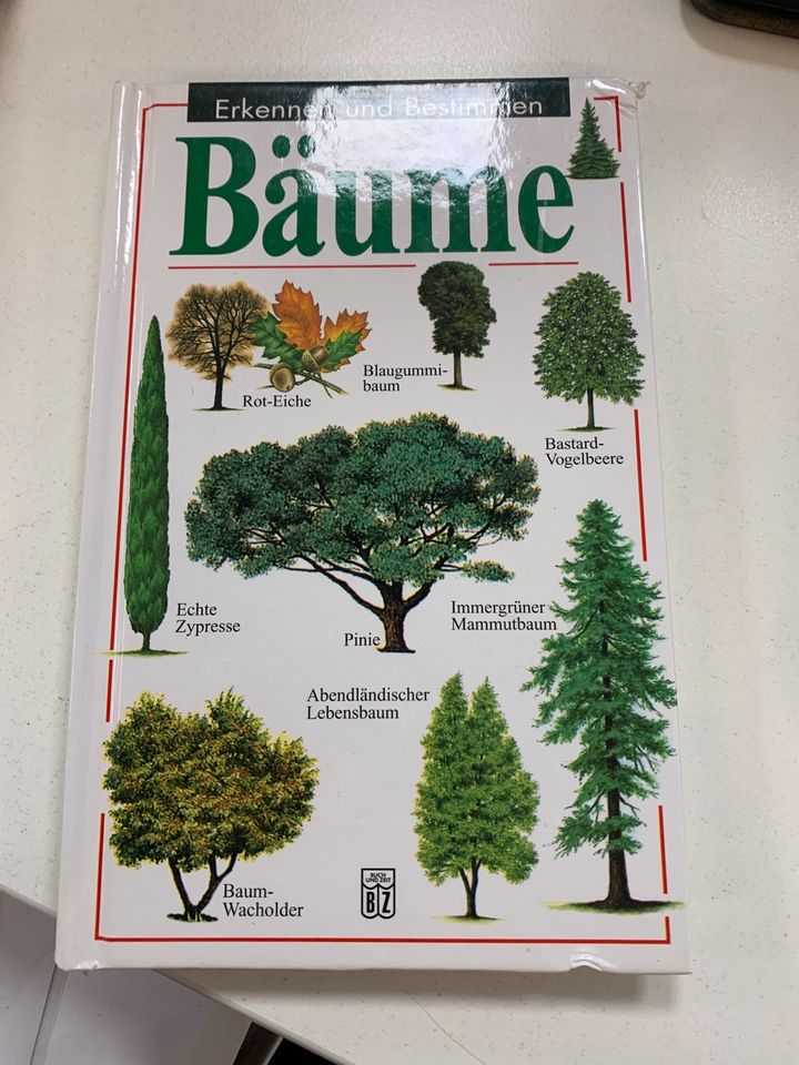 Buch Bäume - Erkennen und Bestimmen Lehrbuch Pflanzen Natur in Hanau