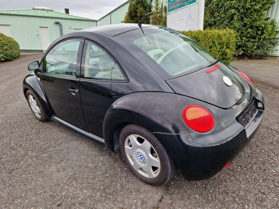 Volkswagen New Beetle Lim. 2.0 Klima in Dernbach