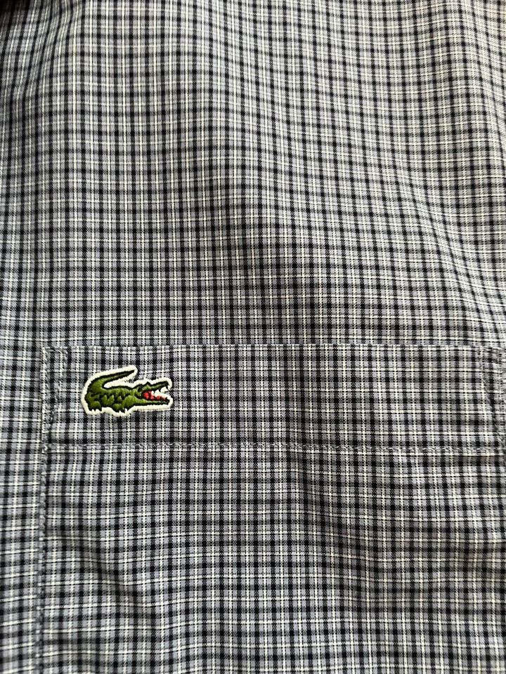 Lacoste Hemd L in Cottbus