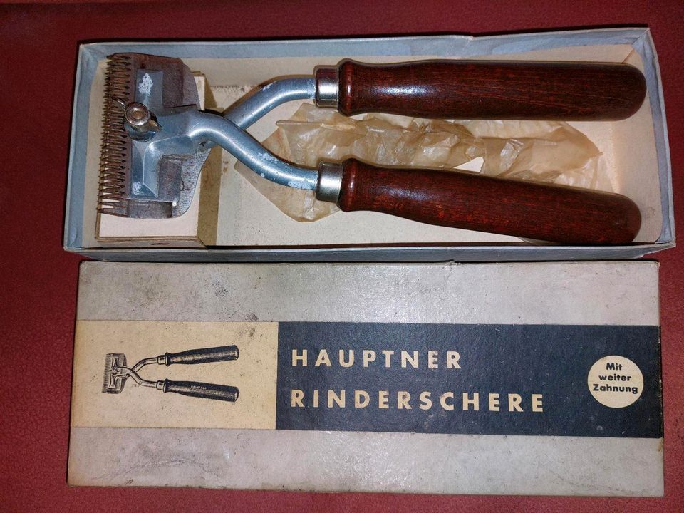 Hauptner Rinderschere mit auswechselbarer Klinge in Rantrum