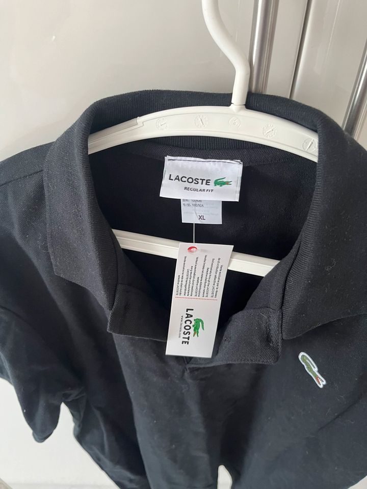 Schwarzes Poloshirt in Pohlheim