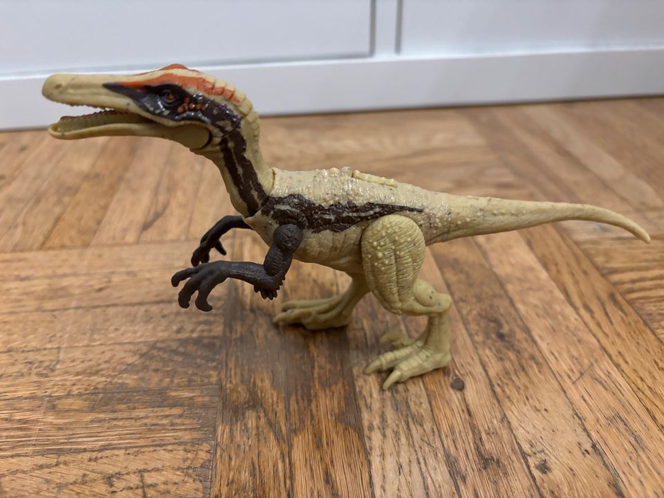 Jurassic World Dinosaurier Austroraptor HLN50 Spielfigur in Wiesbaden