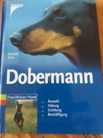 Dobermann Buch  Kosmos Verlag Baden-Württemberg - Orsingen-Nenzingen Vorschau