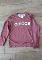 Addidas Pullover Gr.L 40/42 Sachsen-Anhalt - Eckartsberga Vorschau