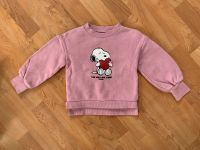 Kinderkleidung Pullover T-Shirts (Fleecefutter) Größe 110 Schleswig-Holstein - Lübeck Vorschau