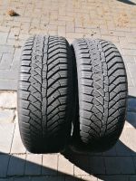 2xSemperit AllSeason-Grip 195 55 R16 91V M+S Nordrhein-Westfalen - Lengerich Vorschau