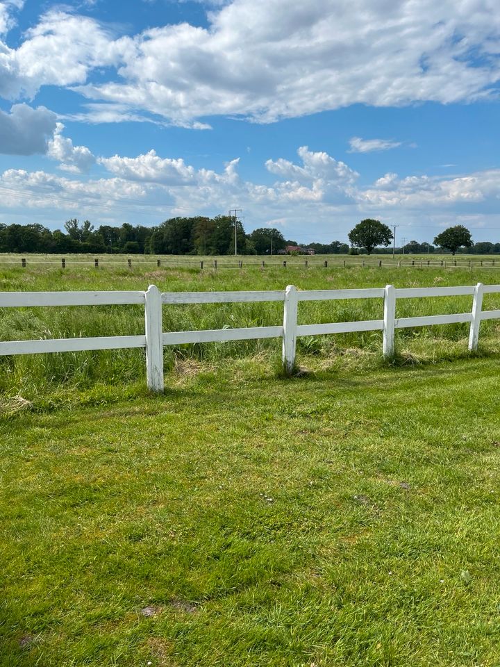 Pferdehof/kleine Reitanlage im Münsterland in Horstmar