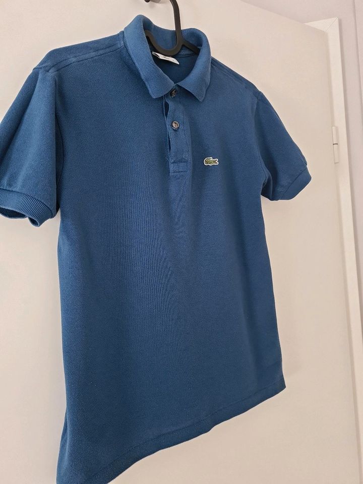 Lacoste Original Poloshirt Gr.14 für Jungs in Kaiserslautern