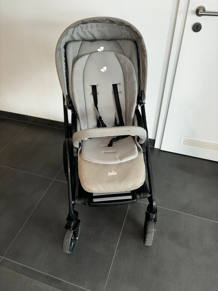 Joie Chrome DLX Buggy - komplett gereinigt! in Reutlingen