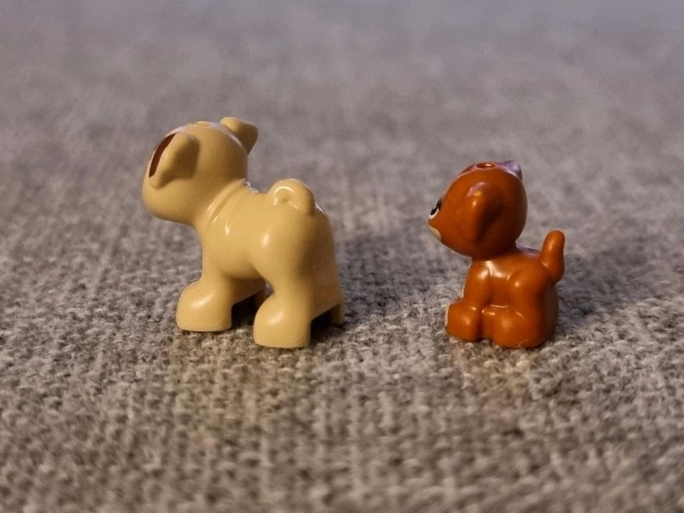 Lego Minifigur 2 Hunde Mops und Welpe in Mülheim (Ruhr)