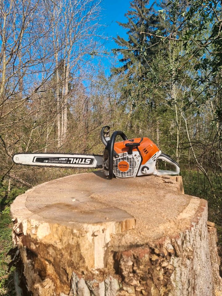 Baumfällung Baumpflege gut & günstig Gartenpflege Heckenschnitt in Elmenhorst/Lichtenhagen