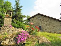 Toskana (Italien): authentisches Ferienhaus auf einem Bauernhof Eimsbüttel - Hamburg Niendorf Vorschau