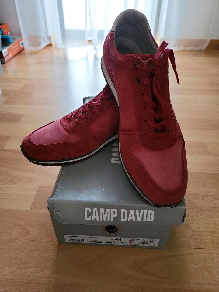 Camp David  Herren Schuhe in Dahn