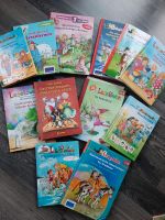 Bücher 1. und 2. Klasse  Feen Piraten Einhörner Pferde Brandenburg - Rangsdorf Vorschau