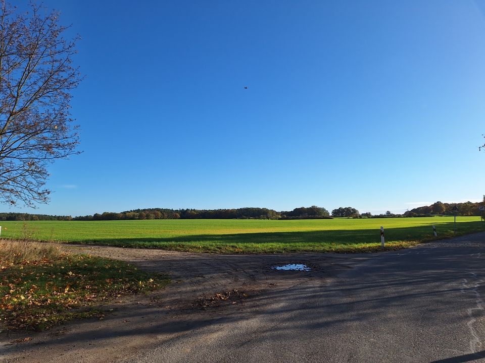 Attraktive Bauparzelle am Ortsrand von Pfaffendorf! in Rietz-Neuendorf