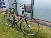 Damenfahrrad 28zoll Niedersachsen - Westoverledingen Vorschau