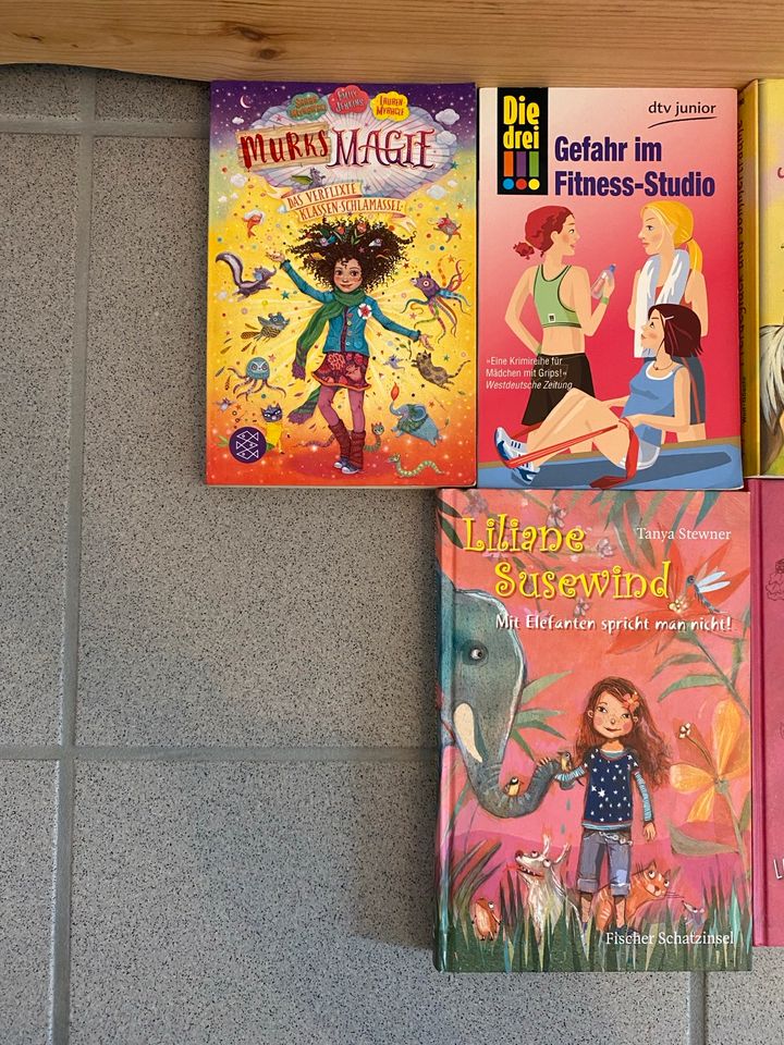 Liliane Susewind Kinderbücher Ab 11 Jahren die drei !!! Pferde in Erkelenz