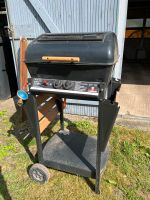 Lavastein Grill Steingrill Gasgrill Landmann Niedersachsen - Schnackenburg Vorschau