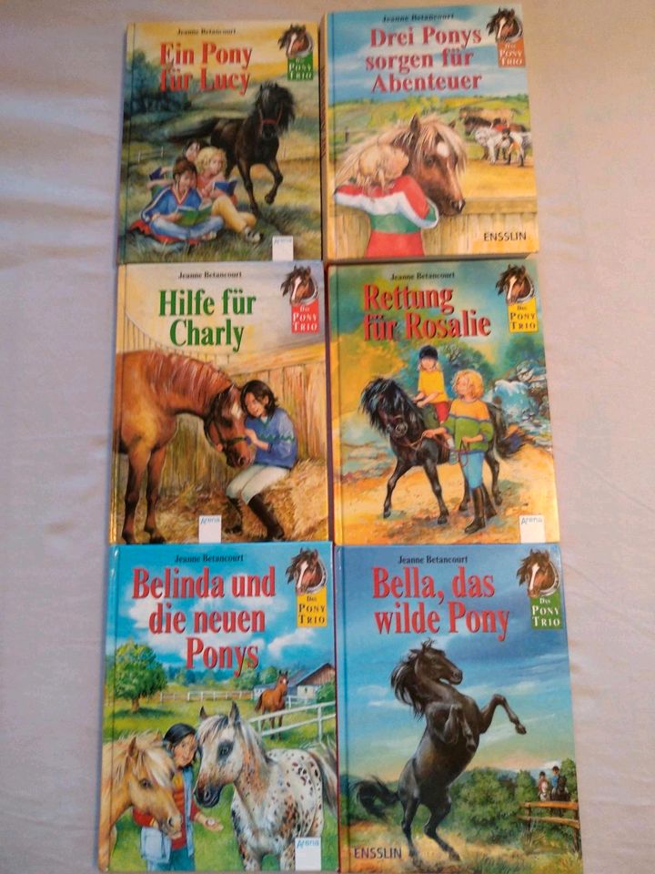 „Das Pony Trio" Buchreihe Bücherpaket in Centrum