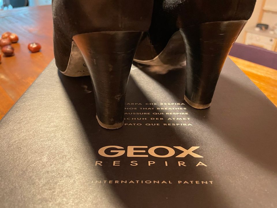 Geox Ankle Boots Gr. 36 Wildleder schwarz in Düsseldorf