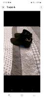 Schwarze Stiefeletten Gr.39 von Vagabond Hessen - Offenbach Vorschau