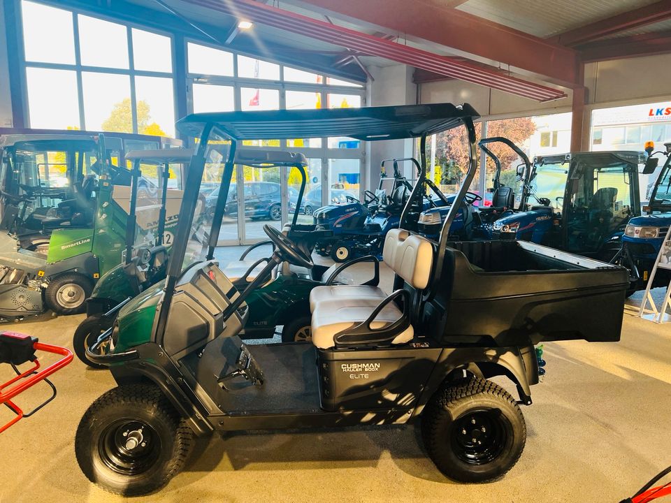 Cushman Hauler 800X Li-Ion Akku  Golfcart Golfwagen in Hamburg