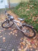 Jugend Fahrrad 26 Zoll Saarland - Homburg Vorschau