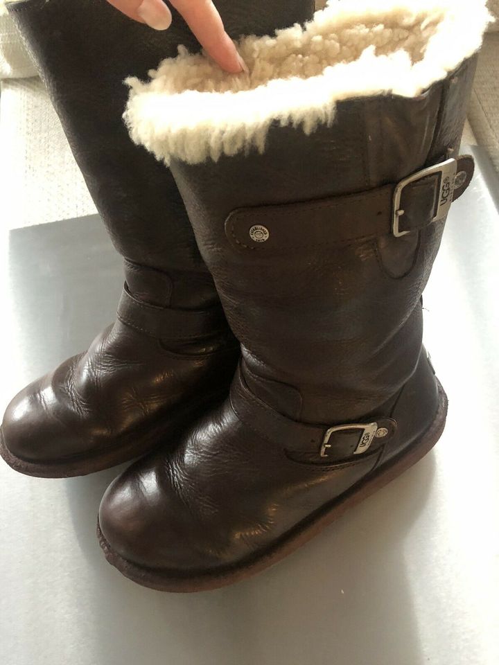 Originale Kensington UGG Boots 38 in Sindelfingen