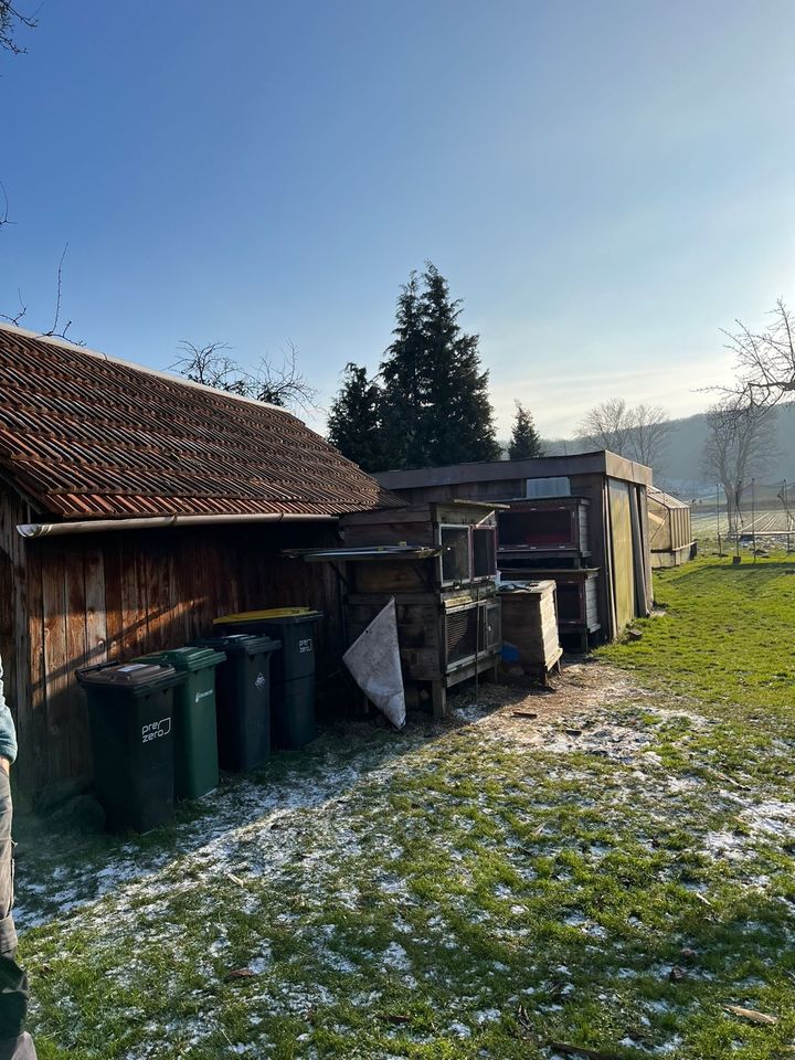 Einfamilienhaus mit super Lage! Keine Markleranfragen in Preußisch Oldendorf