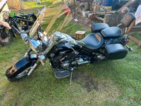 Yamaha Drag Star 650 USA Ausführung nur heute 4000€ Mecklenburg-Vorpommern - Züssow Vorschau