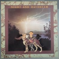 LP Vinyl Ananta "Night and Daydream" Schallplatte Rheinland-Pfalz - Pirmasens Vorschau