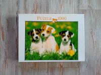 Puzzle 1000 Teile JACK RUSSEL WELPEN für 3 € Niedersachsen - Seelze Vorschau