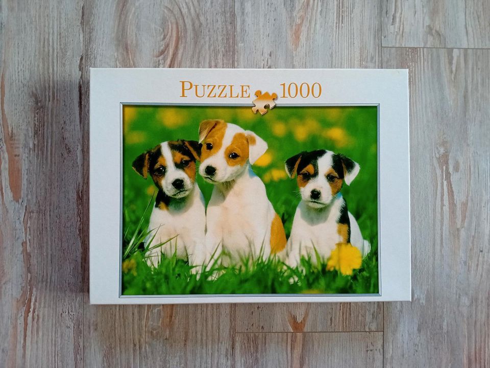 Puzzle 1000 Teile JACK RUSSEL WELPEN für 3 € in Seelze