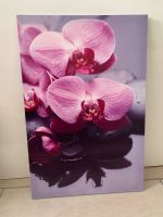 Leinwandbild Orchidee lila violett Nordrhein-Westfalen - Bottrop Vorschau