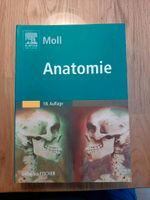 Anatomiebücher, Lehrbuch, Physiotherapie Bayern - Landshut Vorschau