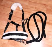 Neu Halfter Set Pony Strick Halfterset Schwarz Fell Fellhalfter Nordrhein-Westfalen - Selm Vorschau