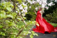 Fotoshooting in blühenden Bäumen Leipzig - Leipzig, Zentrum Vorschau