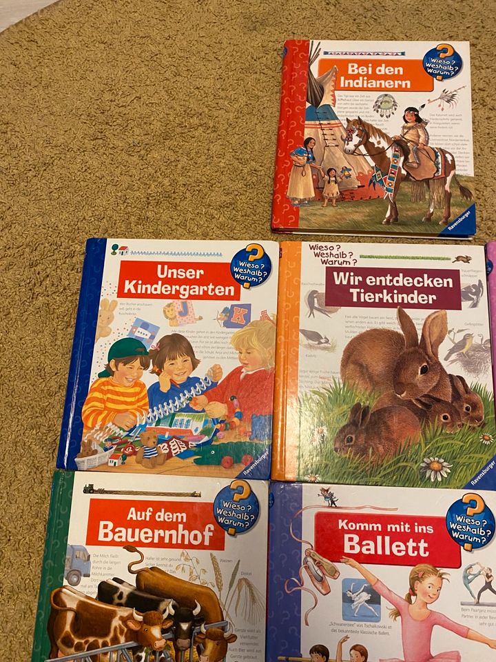 Wiesoweshalbwarum Bücher 4-7 Jahre Baustelle Ballett Tierkinder in Salzgitter